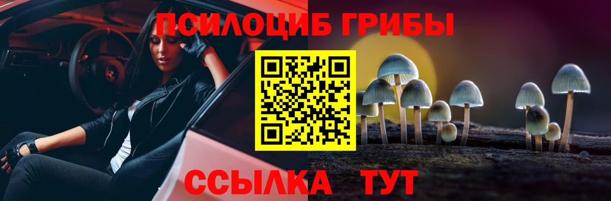 Тверь  где найти   Галлюциногенные грибы прущие грибы  Вход с VPN  Галлюциногенные грибы мицелий 